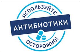 Саламатты мектеп