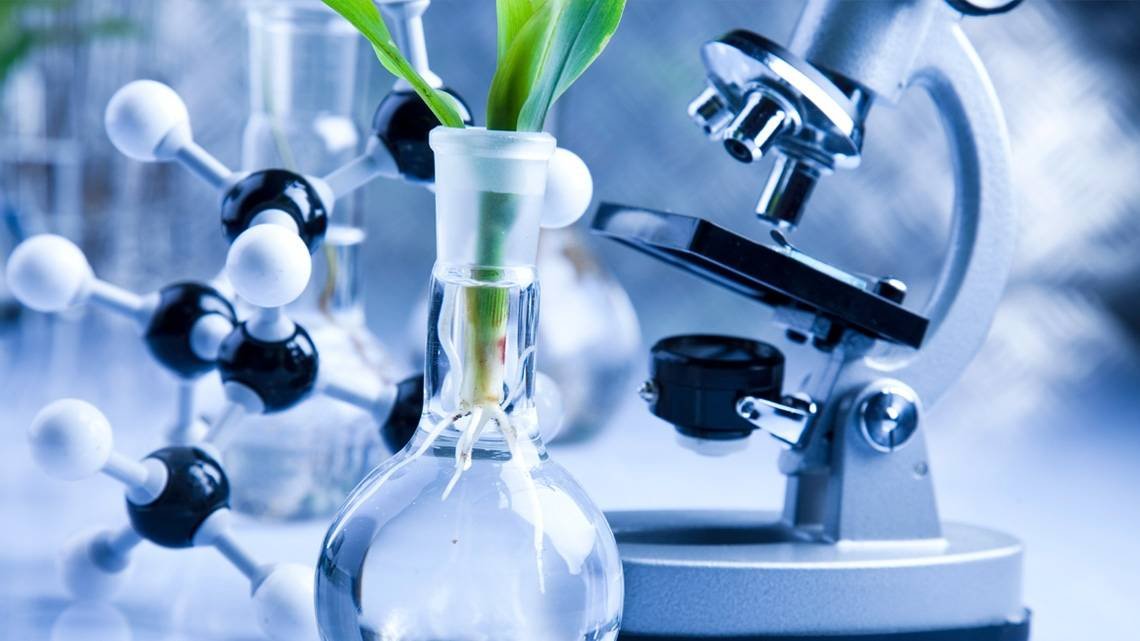 Городской этап республиканской олимпиады по предметам ЕМН