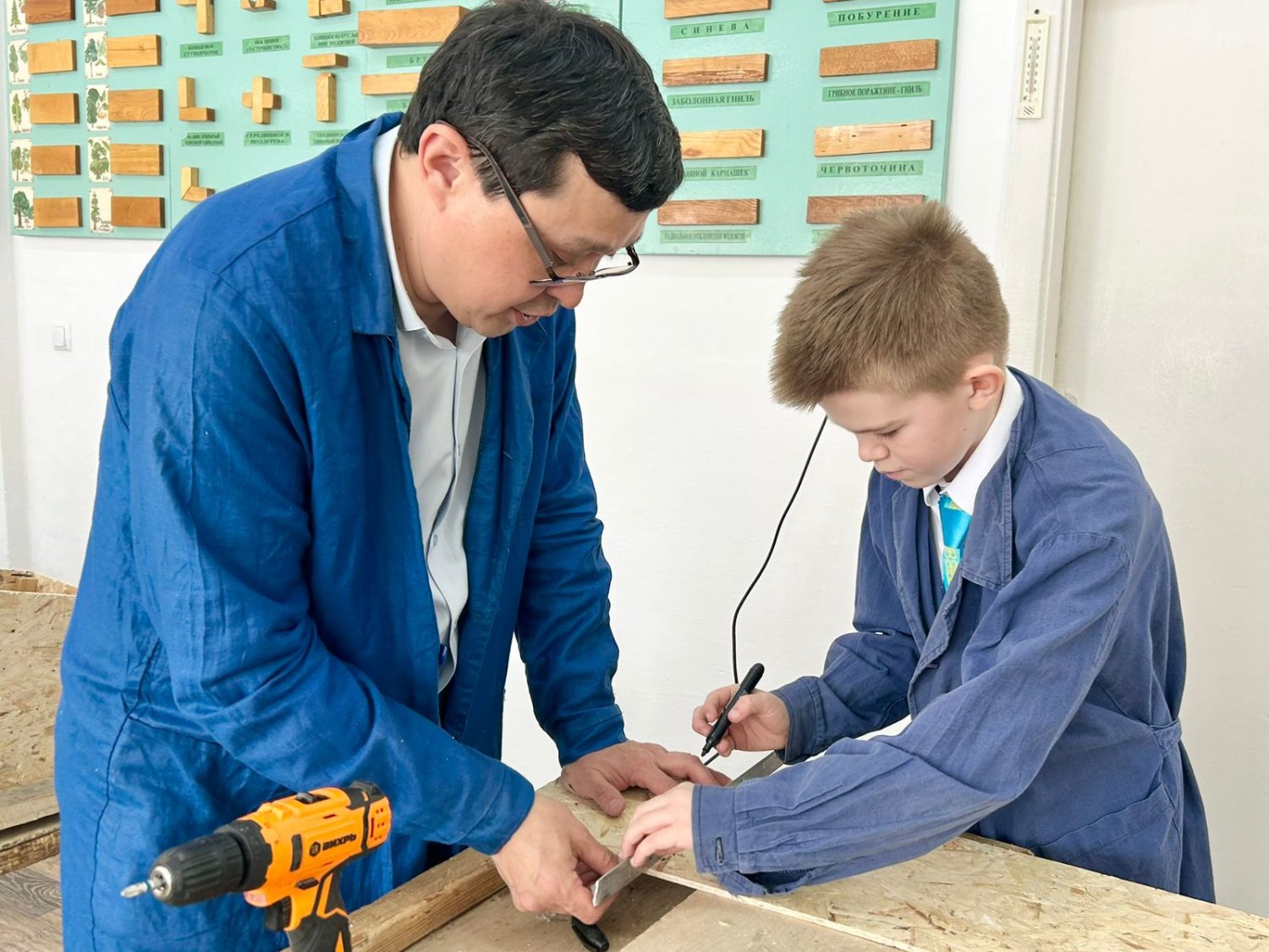 «ҚАМҚОР» ӘЛЕУМЕТТІК ЖОБАСЫ