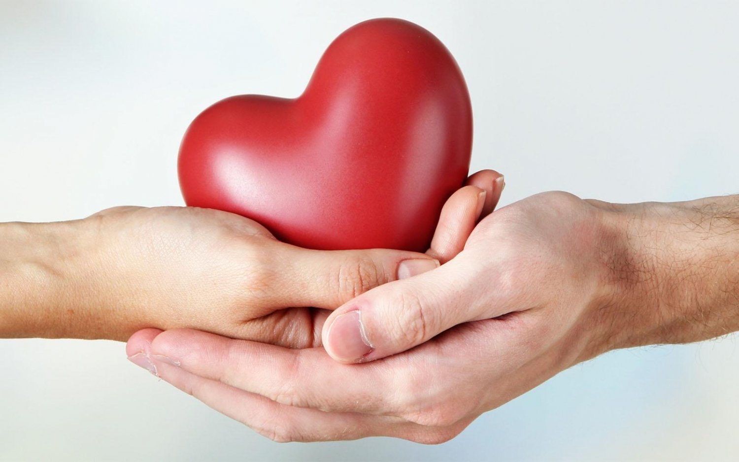 Протяни руку жизни